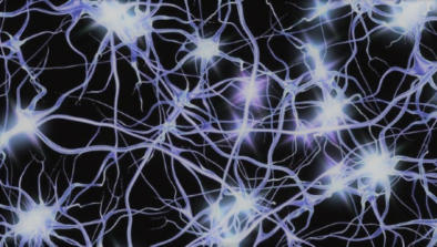 Foto neuroni ipotalamo paura