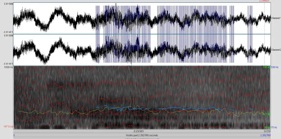 tabella grafica audio b