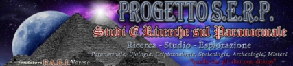 bunner progetto serp